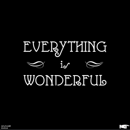 Everything is Wonderful 1