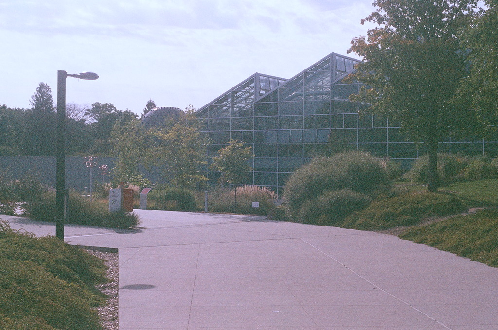 The entrance to the Insectarium: a concrete path leading into a glass-walled building