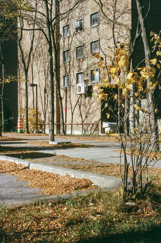 Buildings & trees on the campus of l'Hôpital Notre-Dame