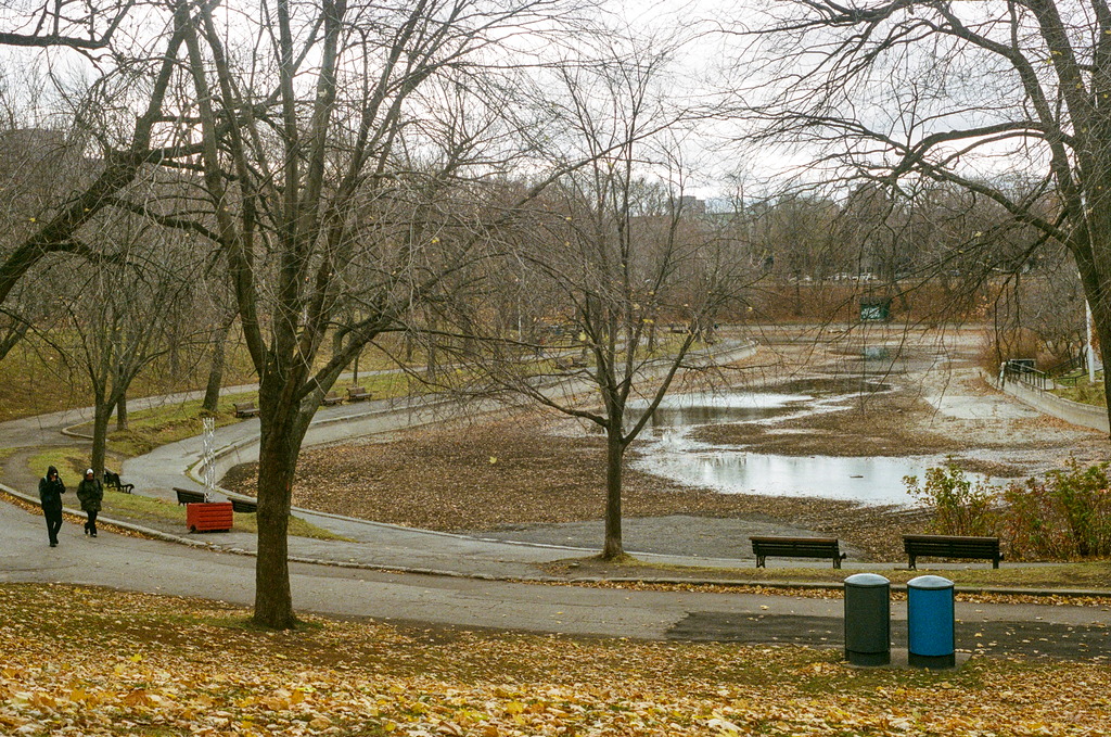 A couple walks by the dried pond at Parc Lafontaine