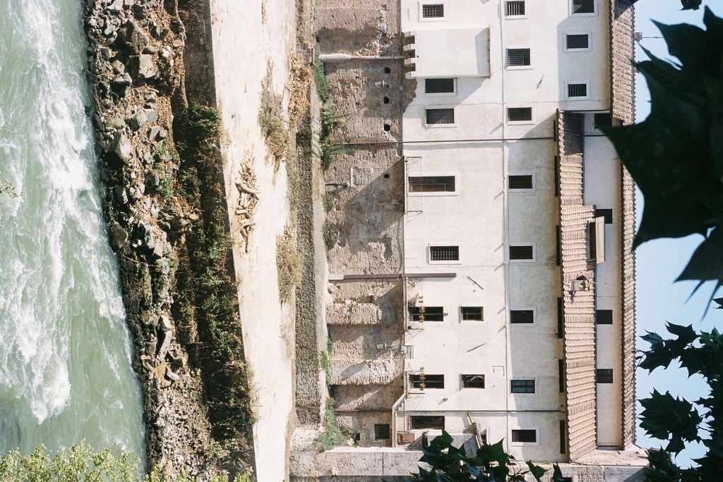 A sun-drenched, pale building, from across the river & some foliage