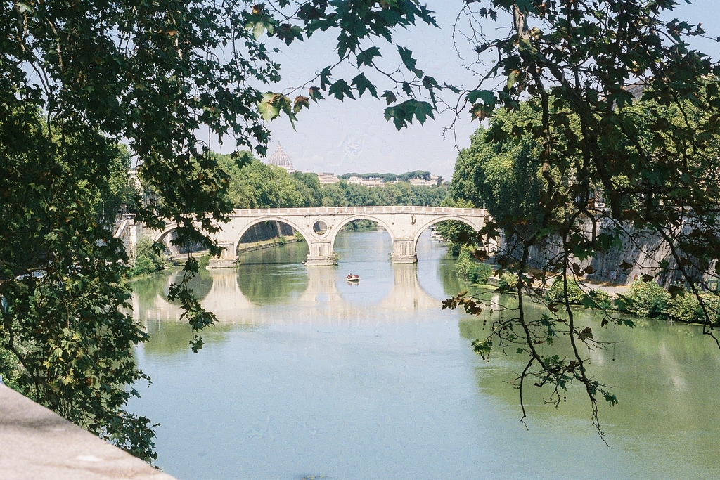 The Ponte Sisto bridge through trees, with the dome of St.-Peter's in the background