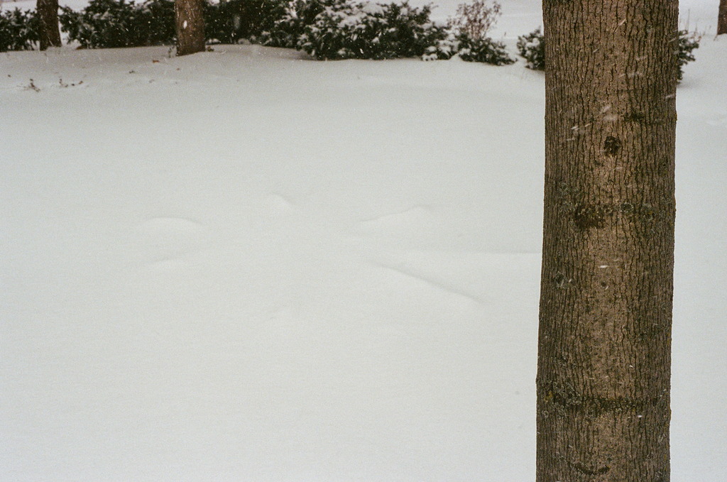 A vaguely circular star pattern is imprinted under a blanket of snow