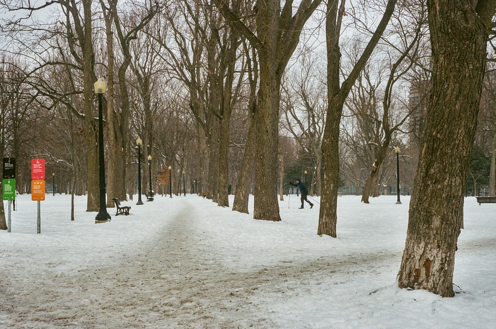A person is cross-country skiing through the paths of Parc Lafontaine