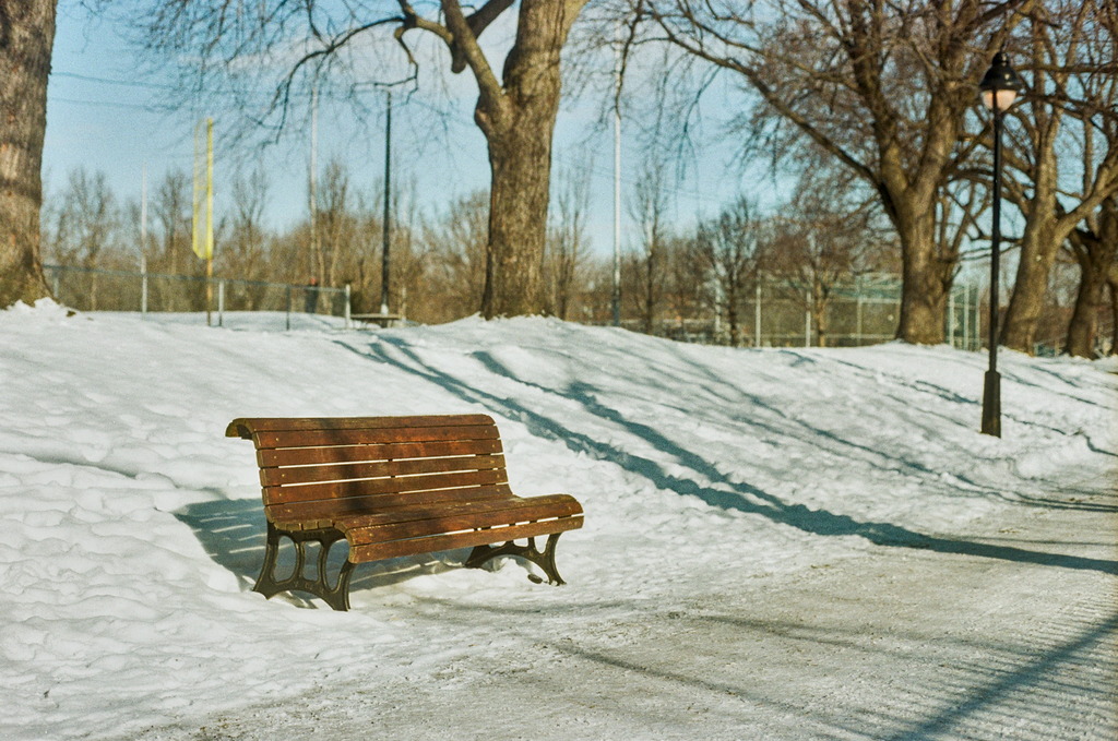 A park bench in snow-covered Parc Laurier