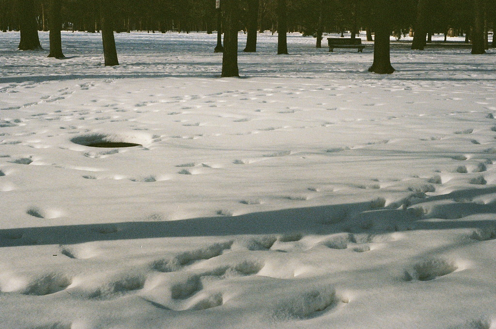 The snowy grounds of a park, full of footprints & a sewer grate