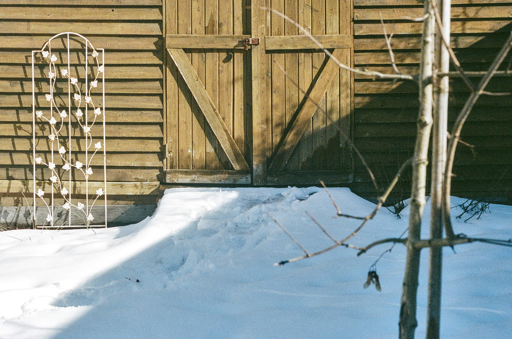 A tool shed under slanting light