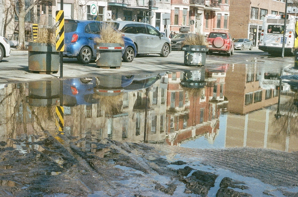A large puddle on a corner of Mont-Royal street, reflecting passing traffic