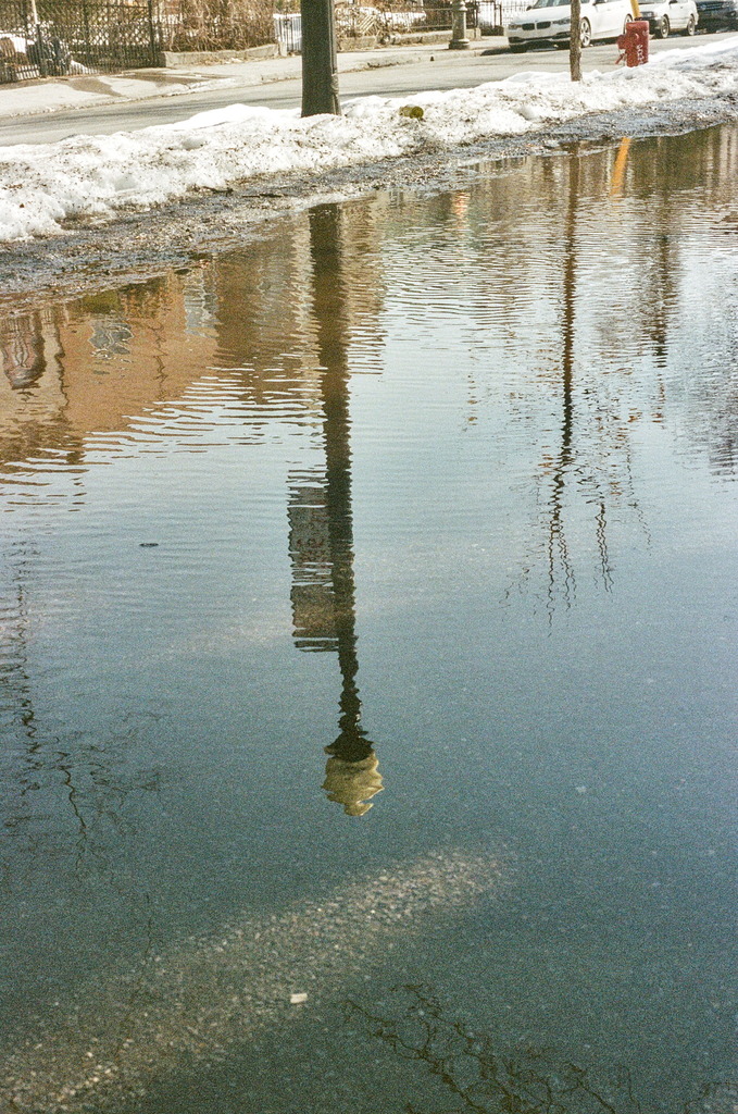 A large puddle at Jeanne-Mance park, reflecting a lamppost