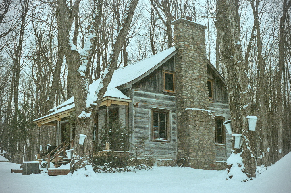 A rustic house among the trees in the snow
