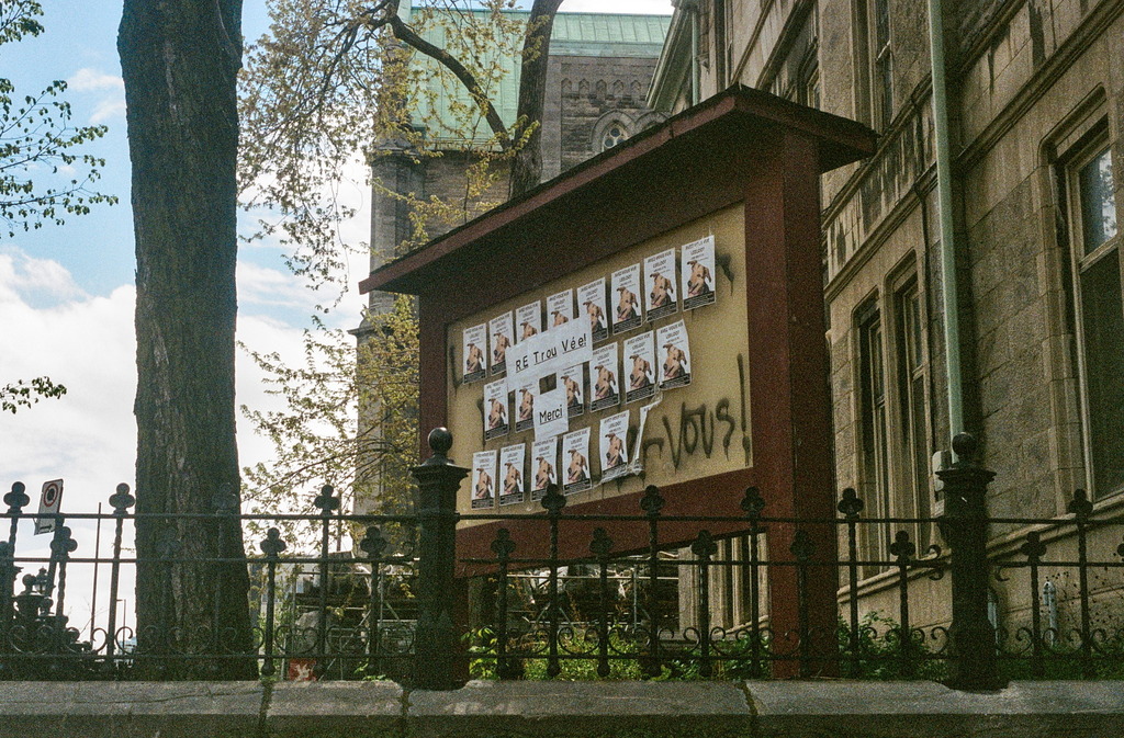 A grid of lost-puppy posters pasted on a community signpost, with a newer sign reading "Retrouvée Merci" over top