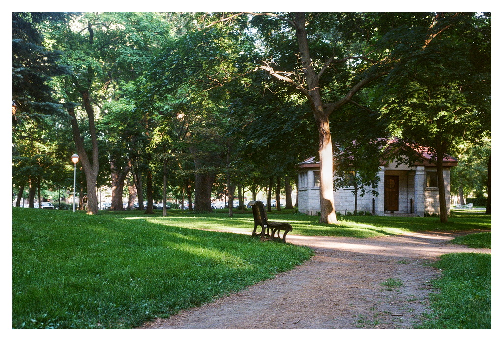 A public bench in a park, with a park building in the background