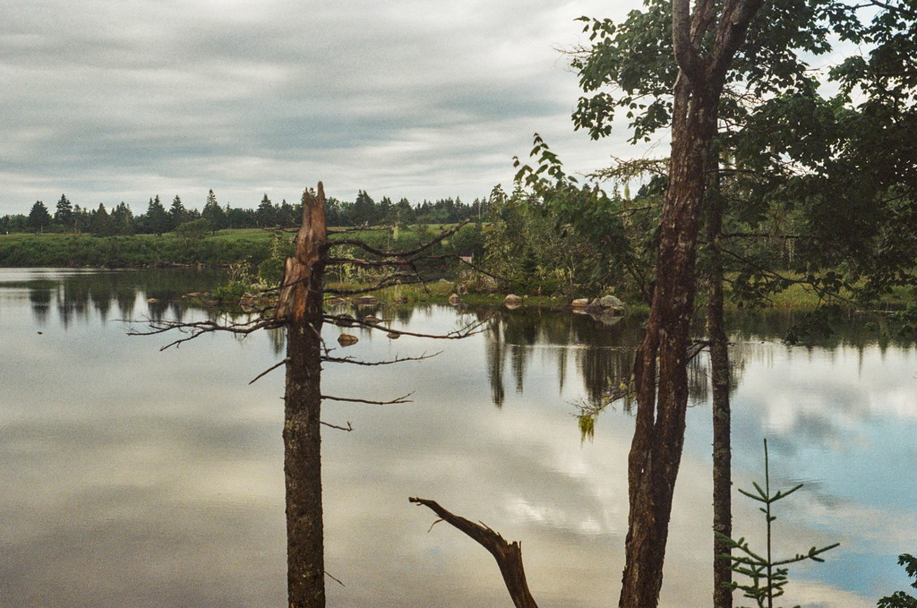 A still lake under cloudy skies, surrounded by trees