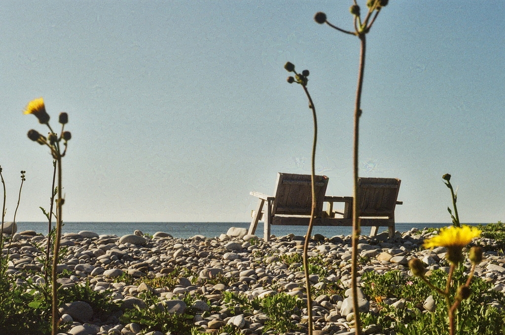 A bench with two seats facing the ocean