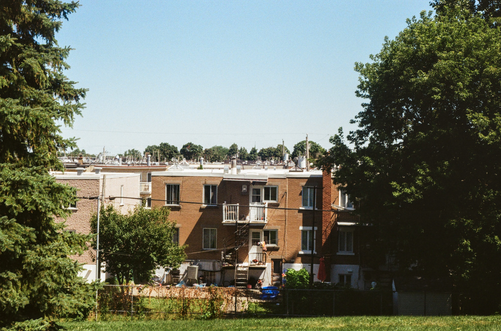 Rows and rows of duplexes, sight-line along their roofs