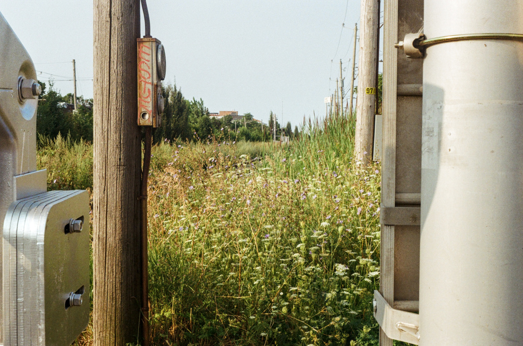 Looking down a railway track covered in wildflowers, from between railway traffic posts