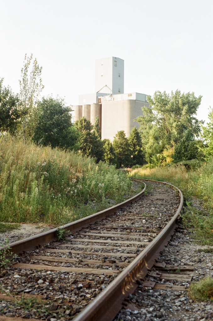 Grain silos and a tall tower, viewed through trees