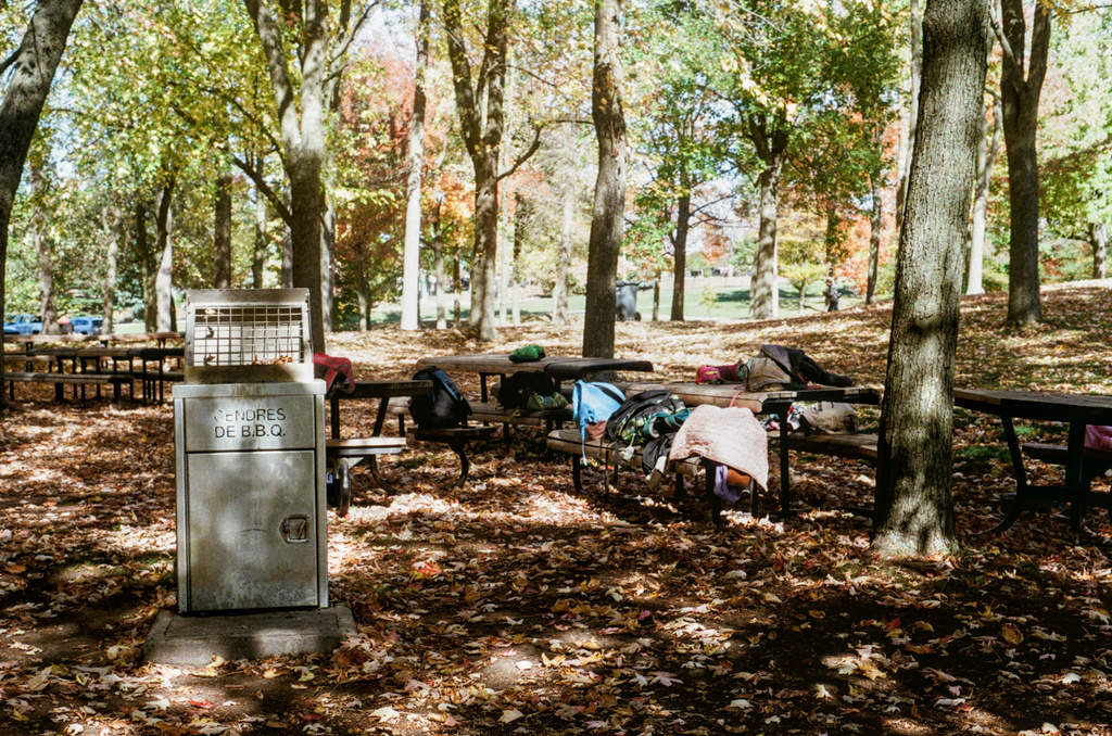 Picnic benches & a trash can under dappled autumn light
