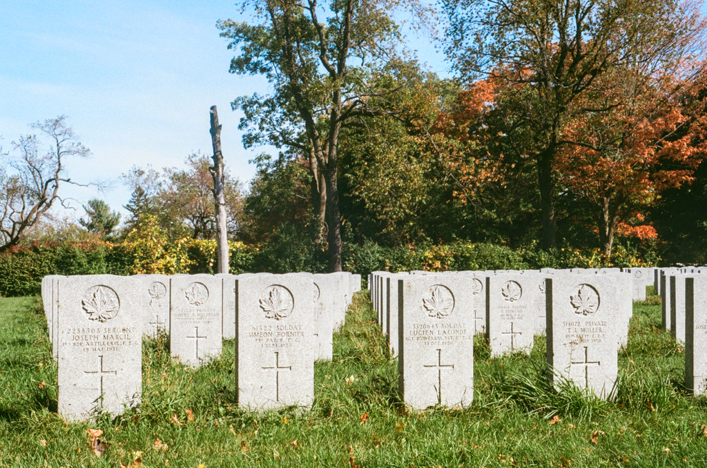 Rows of military gravestones in Notre Dame des Neiges cemetery