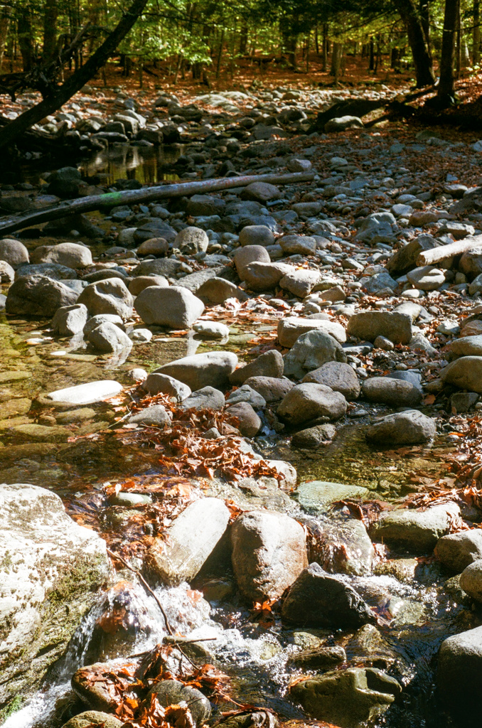A rocky riverbed