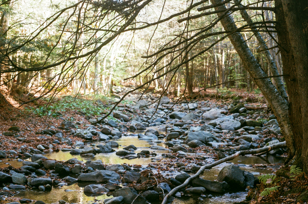 Another rocky riverbed