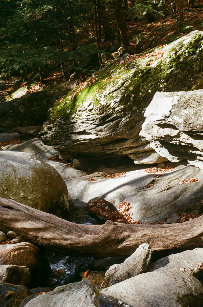 Large, mossy boulders and fallen trunks in a forest