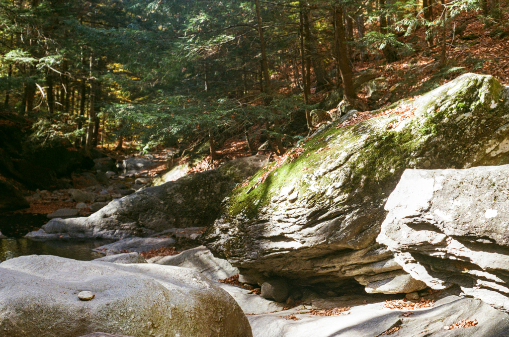 More mossy boulders in the forest