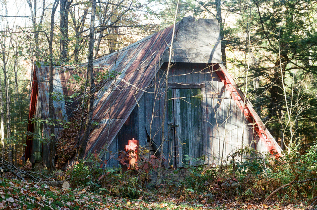 Same cabin in the woods, viewed from the rear