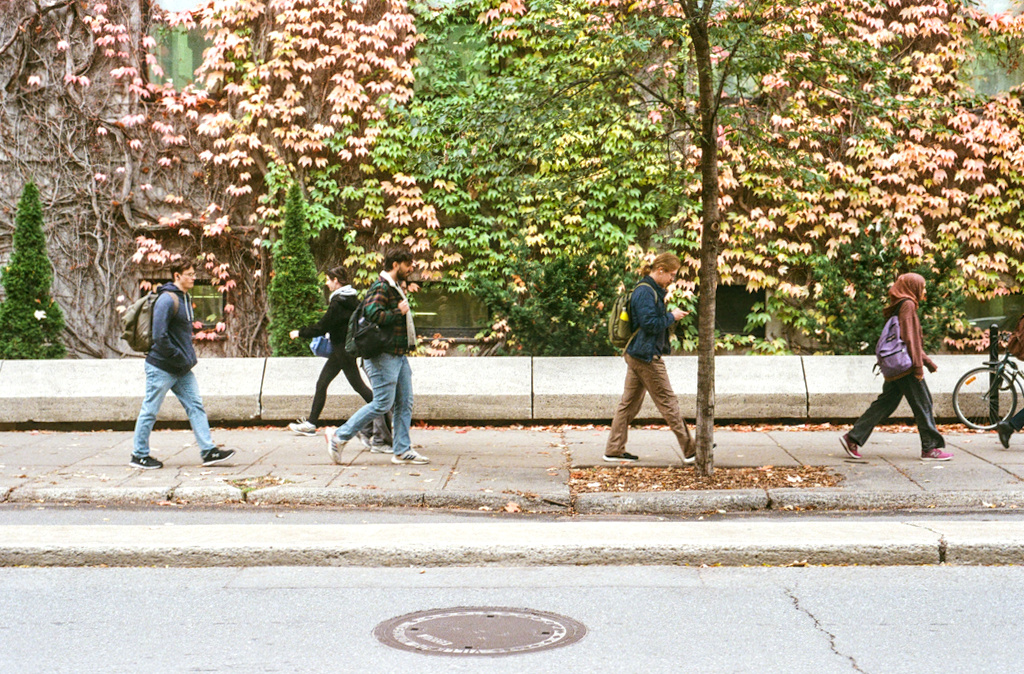 Several people walking up University, in front of the vine-covered walls of a McGill building