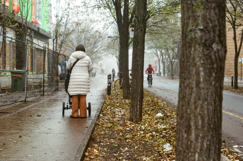 Looking down the sidewalk at a person with a stroller; between a gap in the trees, a cyclist approaches on the bike path