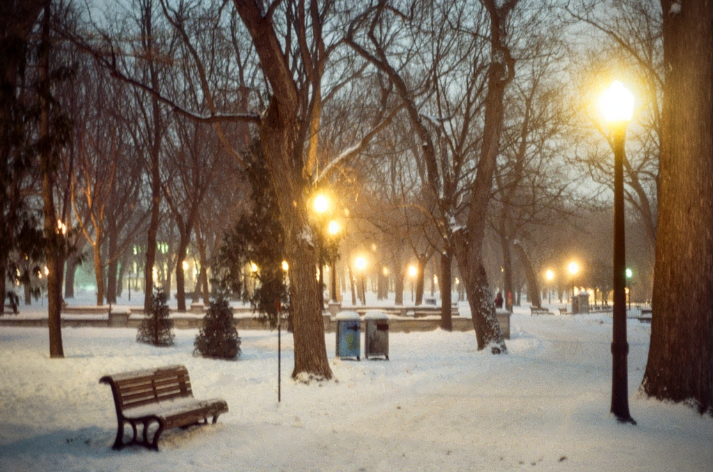Slightly blurred view of Parc Lafontaine at dusk; a snowy bench, sodium lights