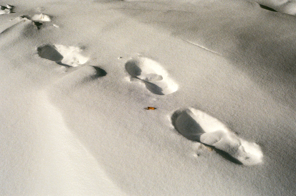 Footsteps in a snowbank, and a discarded cigarette