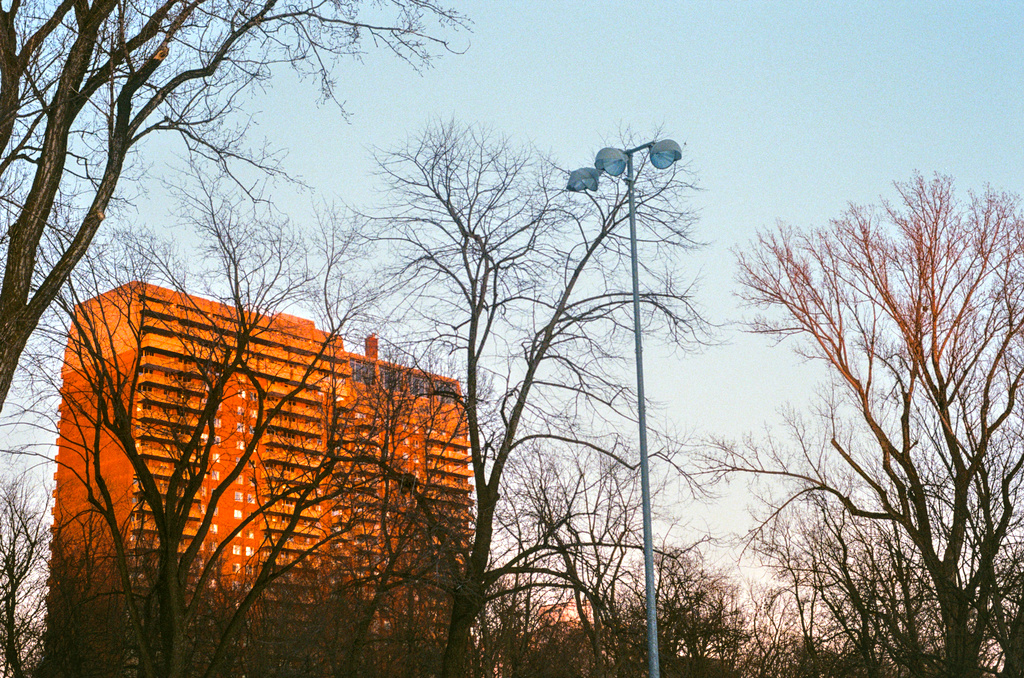 A tall building is glowing golden in the pre-dusk