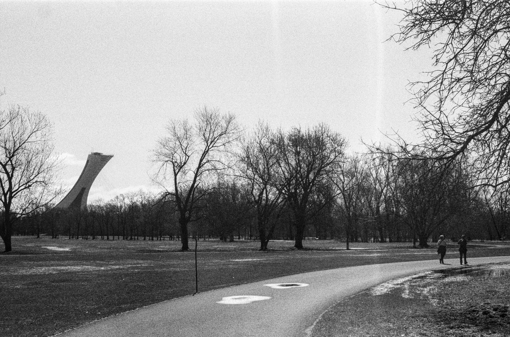 The tower of the Olympic Stadium viewed from a path in Parc Maisonneuve