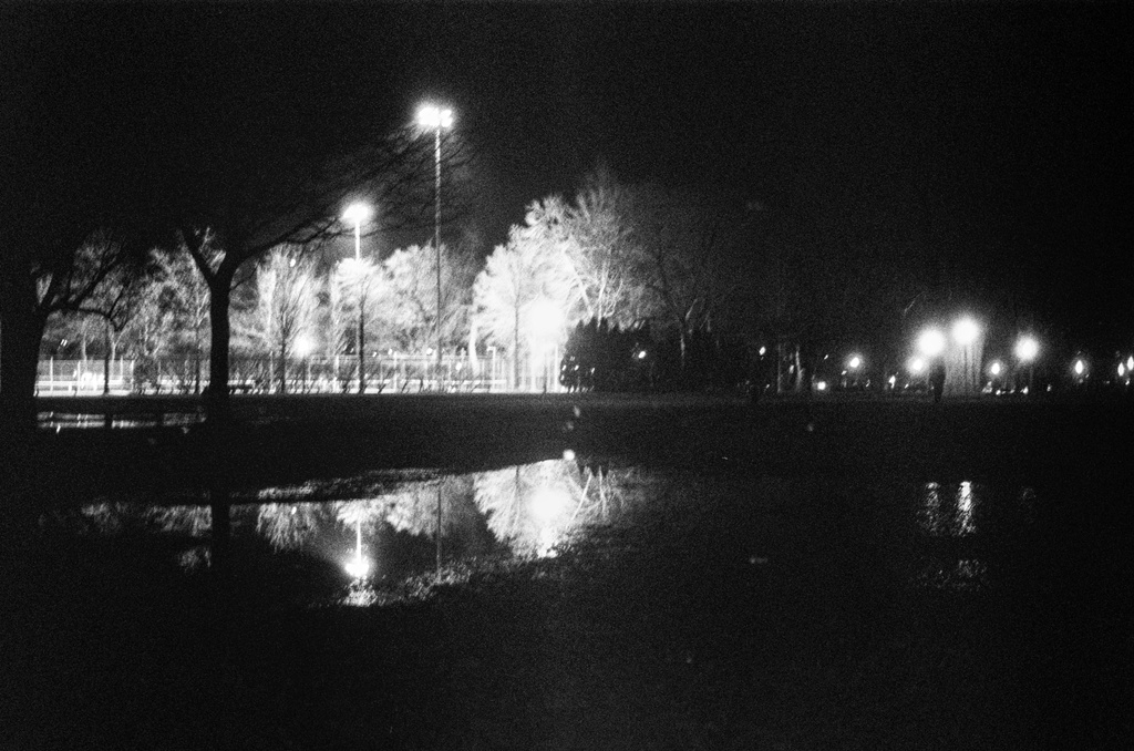 Spotlights and reflections in a dark park at night