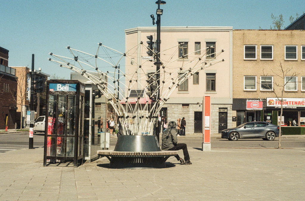 A plant trellis and bench at Frontenac metro station