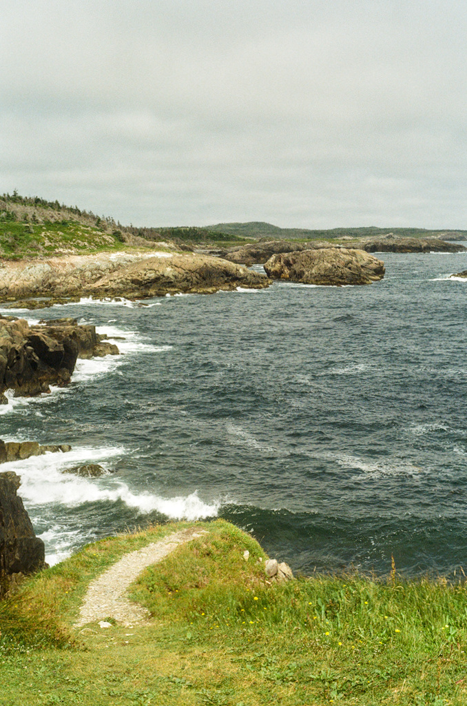More waves, more cliffs, and a short path further down
