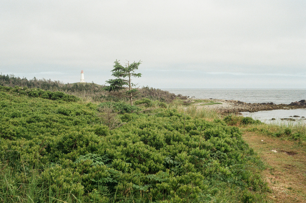 A wide promontory, short, wind-swept shrubbery, and a lighthouse in the far distance
