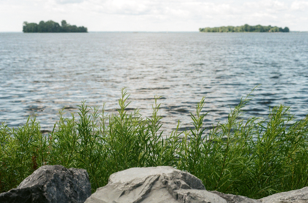 Plants & rocks on the shore of a lake, two islands in the distance