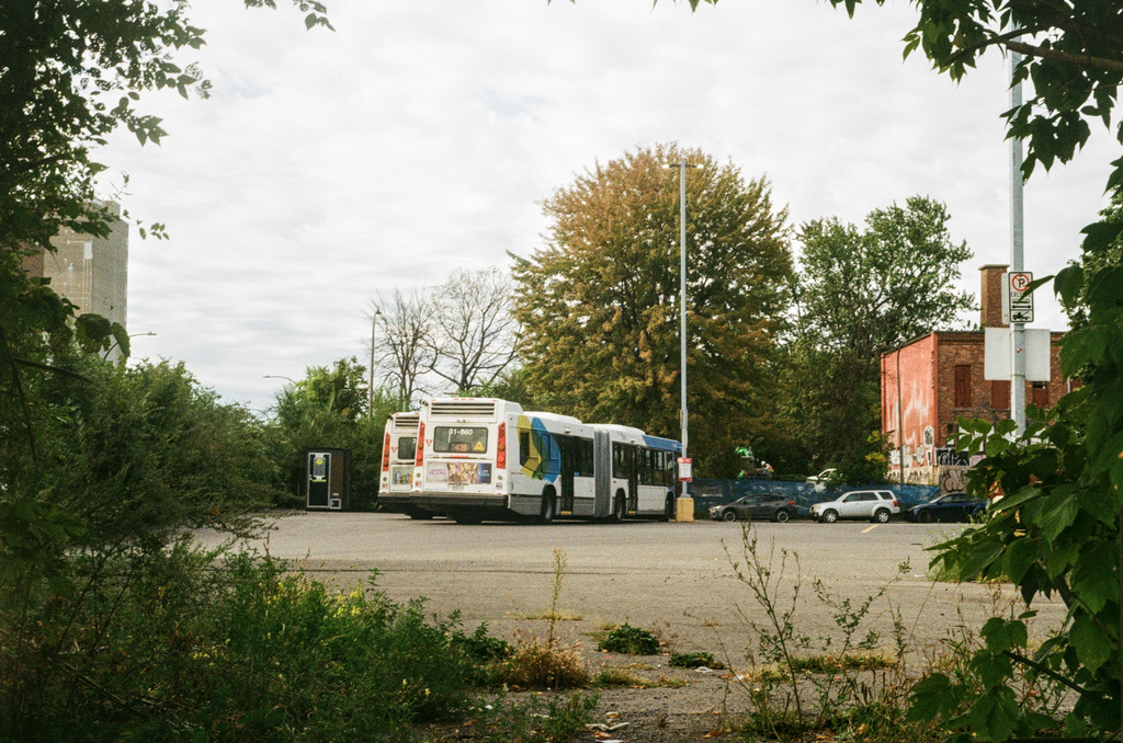 Two buses in a parking lot
