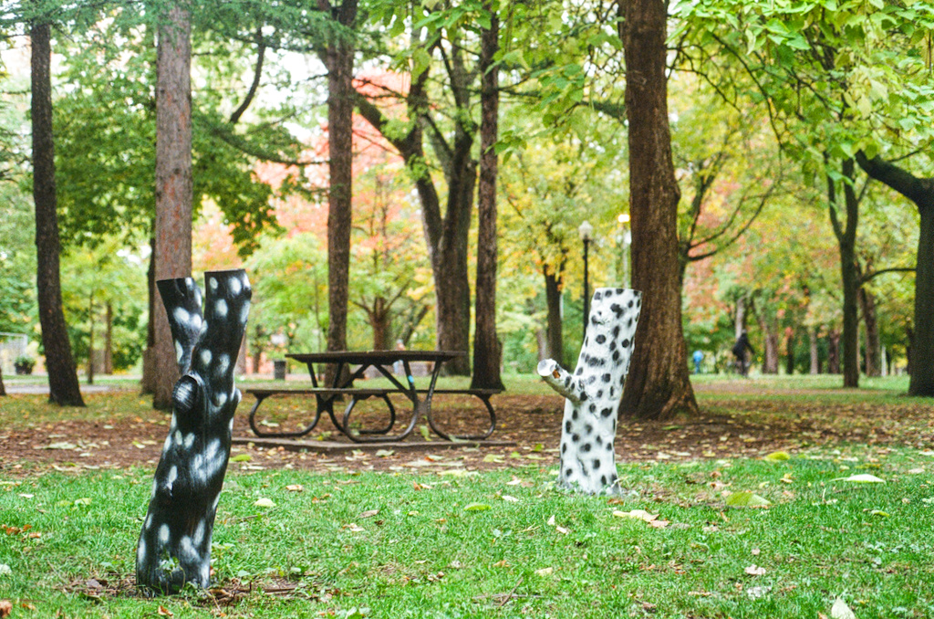 Two tree stumps in Parc Lafontaine, white with black polka-dots and vice-versa