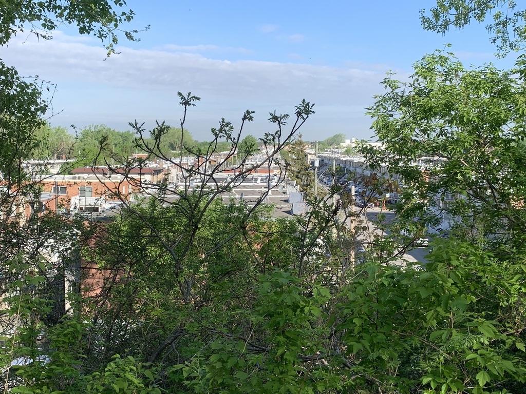 Looking over rooftops from Parc Frédéric-Back