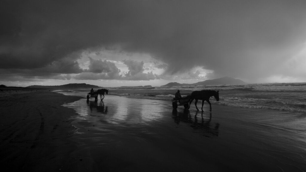 Horse-drawn wagons along a beach